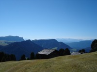 Seura Sas Alm