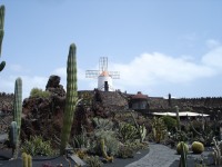 JardinDeCactus