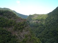 Los Tilos