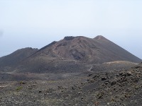 Teneguia