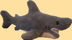 Bruce